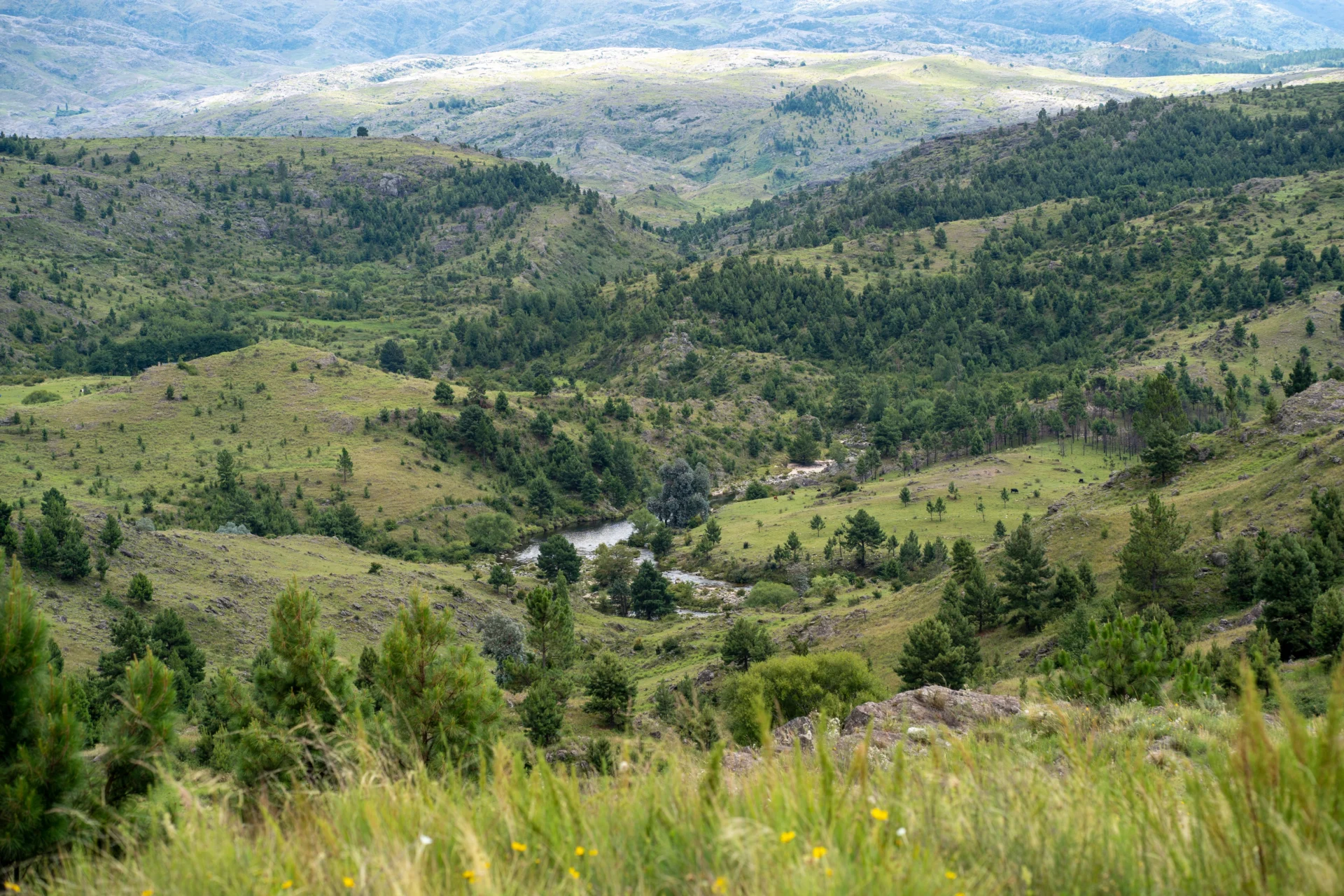 Valle serrano con monte y río